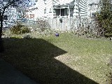 Our Backyard JPG